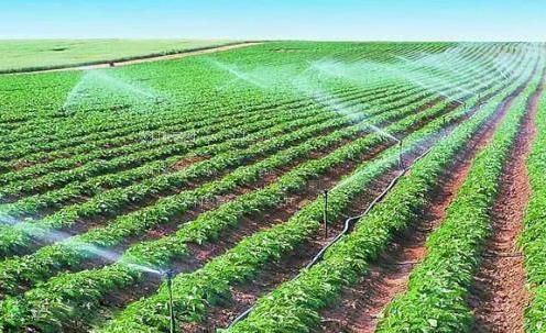 中国老头插bb无套内射农田高 效节水灌溉